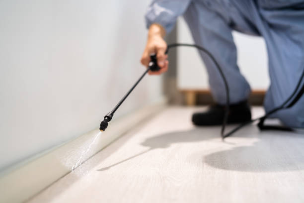 Licensed Termite Control service in Macoupin County County, IL - Nex Pest Control