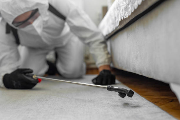 Professional Termite Control technician working in Macoupin County County, IL